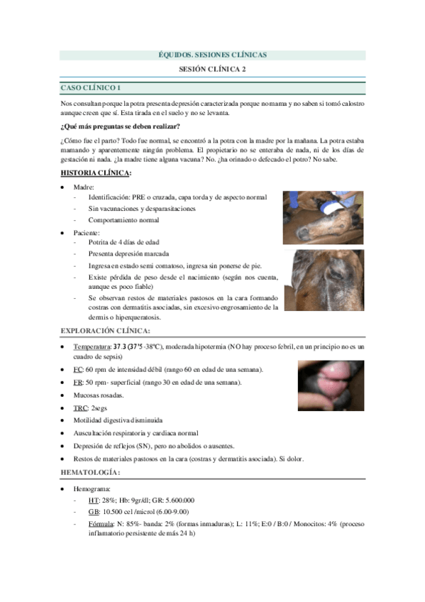 Miniatura del documento SESIONES-CLINICAS-EQ.-2.pdf