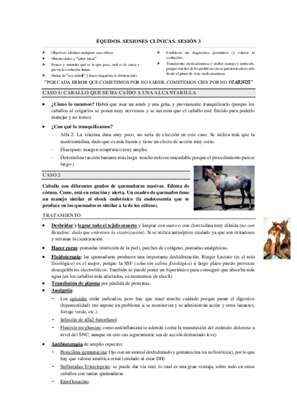 Miniatura del documento SESIONES-CLINICAS-EQ.-3.pdf