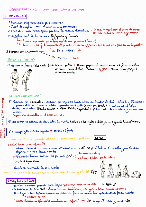 Miniatura del documento Fundamentos-basicos-del-judo-COMPLETO.pdf