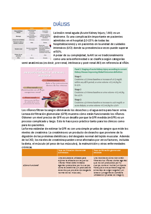 Miniatura del documento DIALISIS-2023.pdf