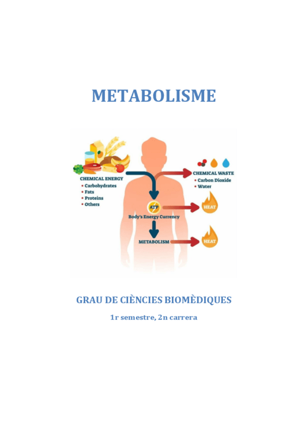 Miniatura del documento Metabolisme1r-semestre2n-cursBiomedicina2020.pdf
