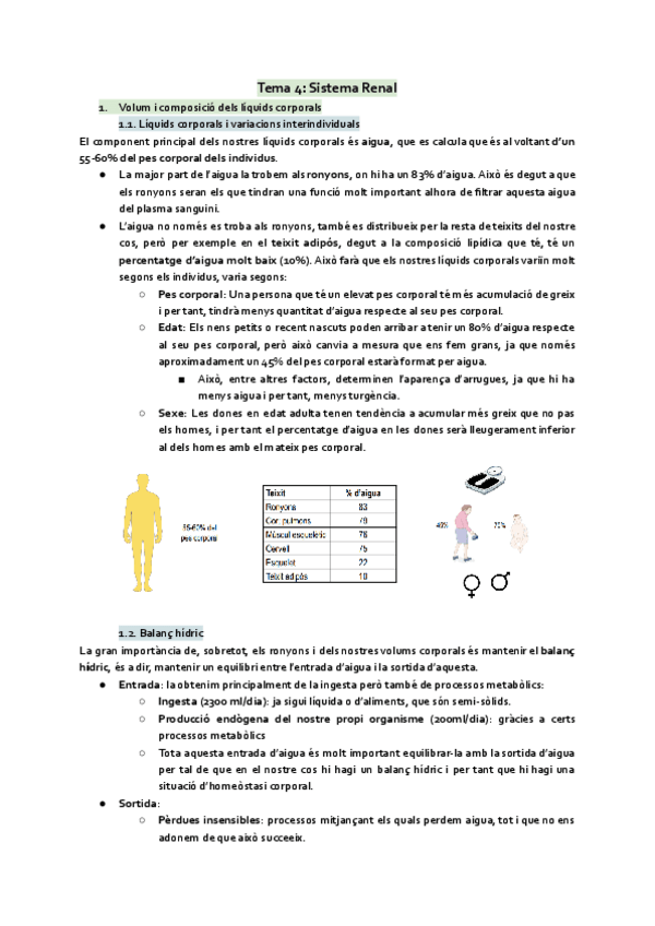 Miniatura del documento Sistema-renal.pdf