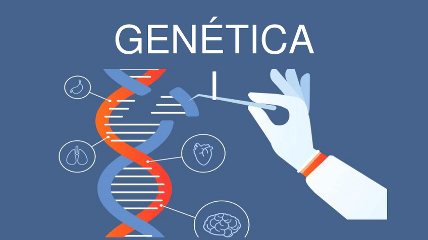 Miniatura del documento GENETICA.pdf