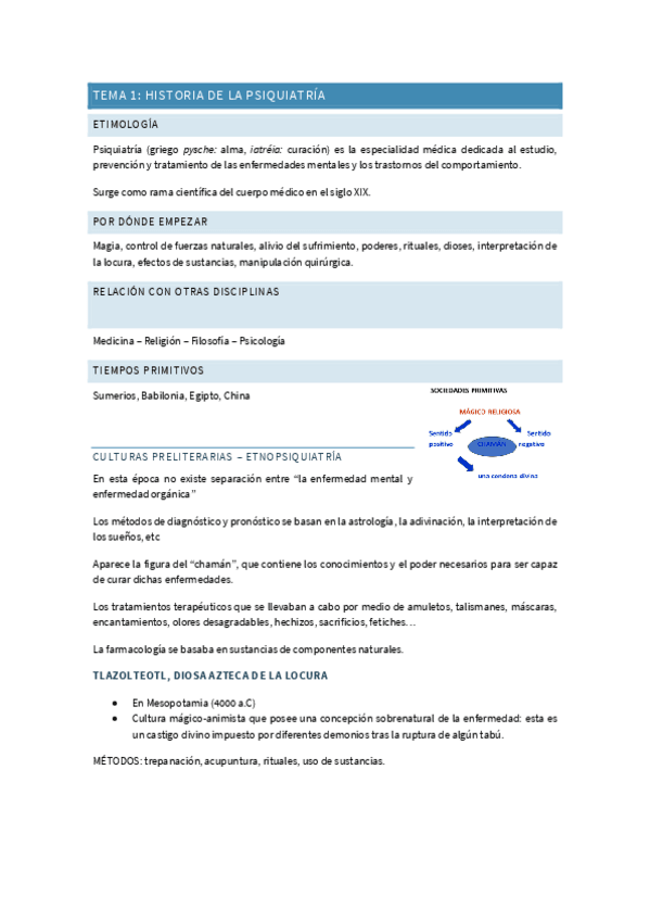 Miniatura del documento SALUD-MENTAL-TEMAS-RUBEN.pdf