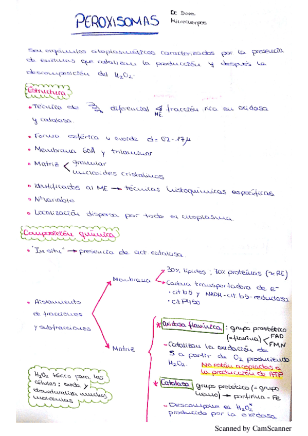 Miniatura del documento peroxisomas.pdf
