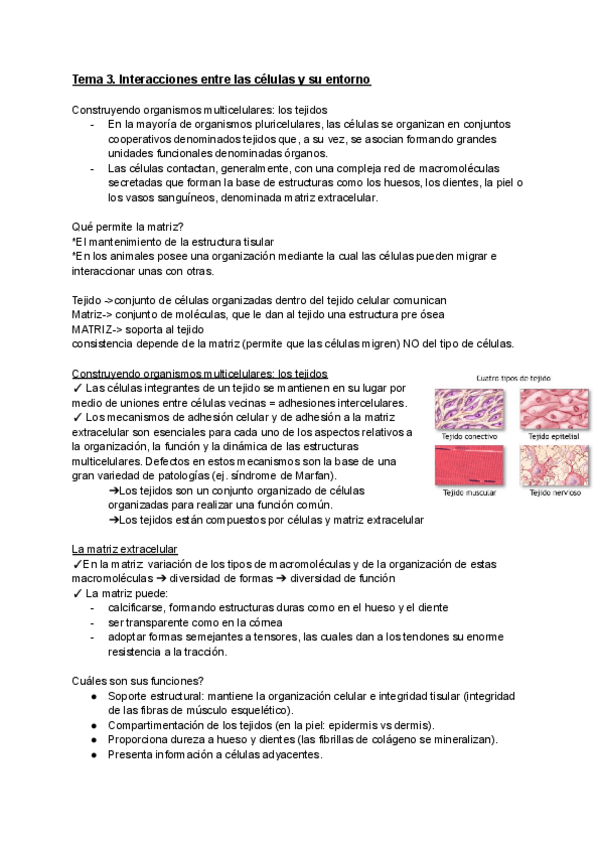 Miniatura del documento Tema-3.Interacciones-entre-las-celulas-y-su-entorno-1.pdf