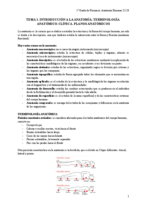 Miniatura del documento 1o-Parcial-Anatomia-Humana.pdf