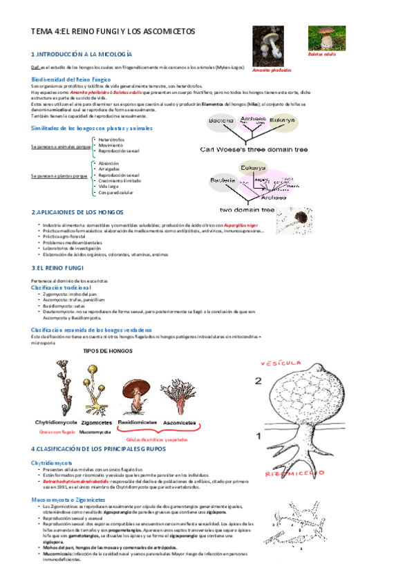 Miniatura del documento ESQUEMA-TEMA-4-B.pdf