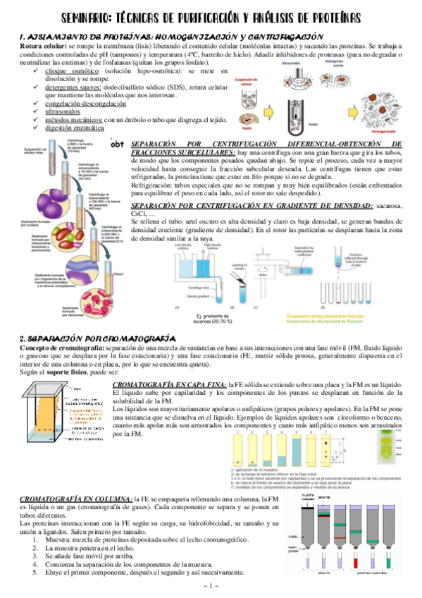 Miniatura del documento Seminario-tecnicas-de-purificacion-y-analisis-de-proteinas.pdf