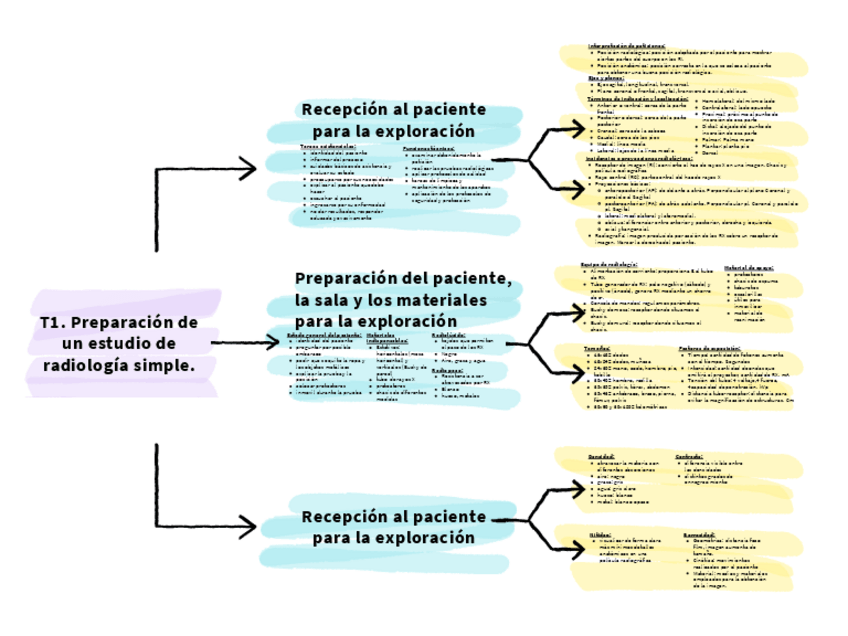 Miniatura del documento Esquema-T1-y-T2-TECNICAS.pdf