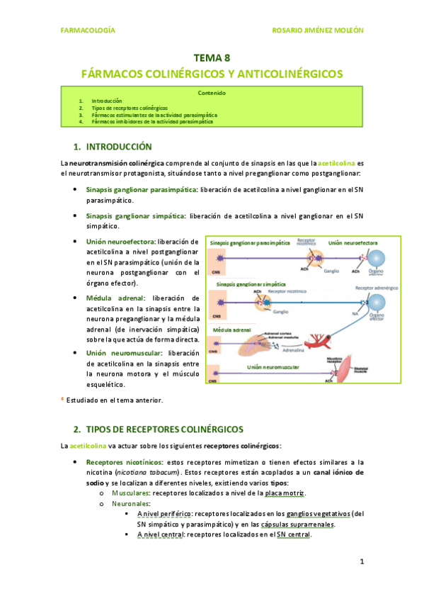 Miniatura del documento TEMA-8-FARMACOS-COLINERGICOS-Y-ANTICOLINERGICOS.pdf