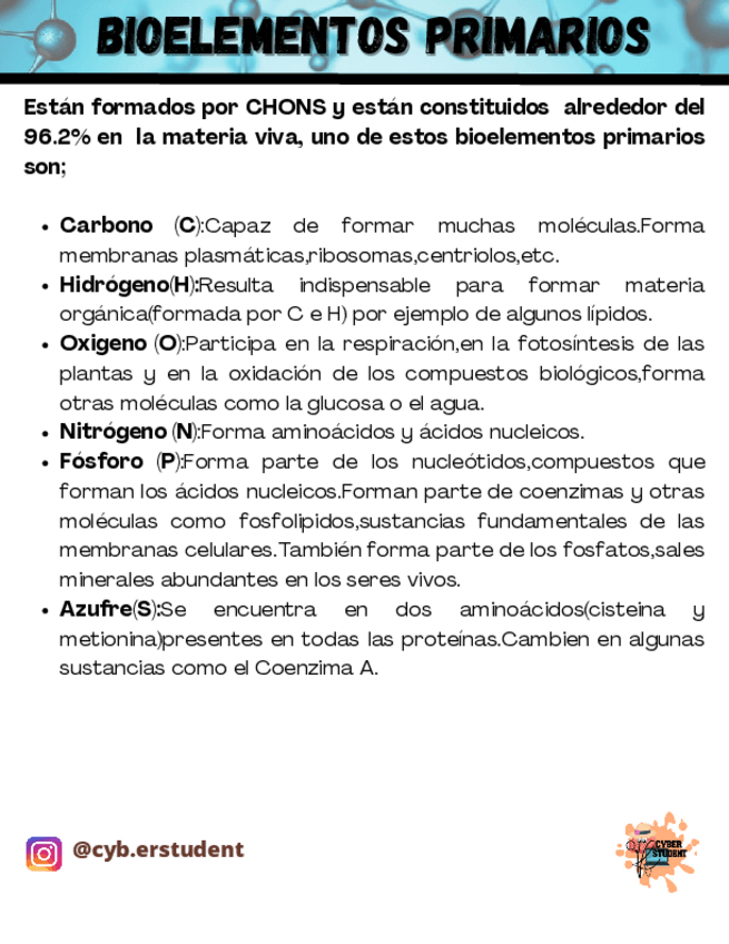 Miniatura del documento BIOELEMENTOS-PRIMARIOS.pdf