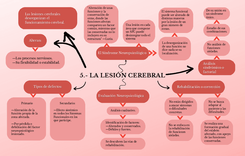 Miniatura del documento Mapa-conceptual-LESION-CEREBRAL.-Aporte-de-Luria..pdf