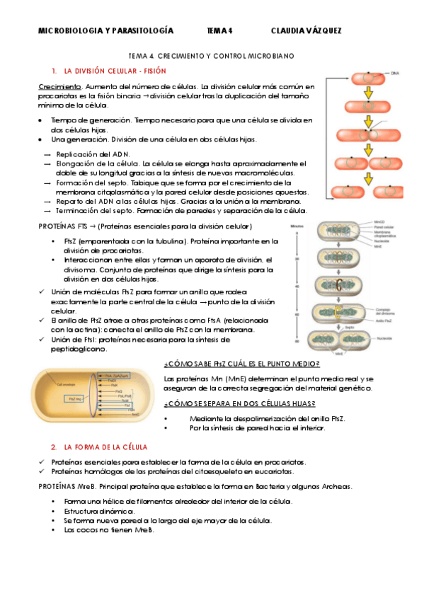 Miniatura del documento TEMA-4.pdf