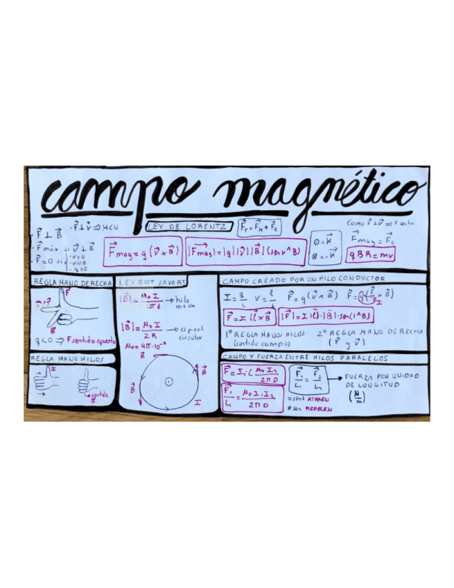 Miniatura del documento Resumen-campo-magnetico.pdf