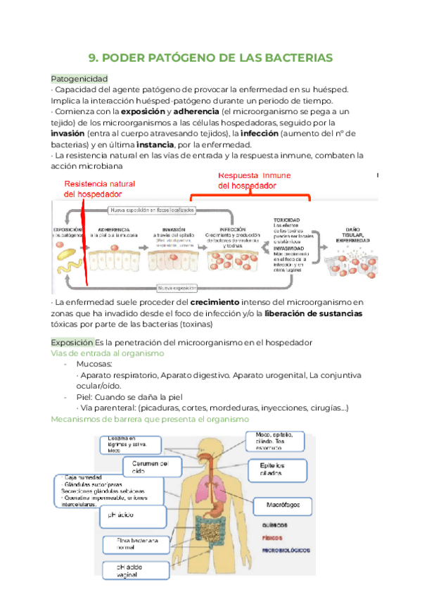Miniatura del documento Apuntes-Microbiologia-parte-2.pdf