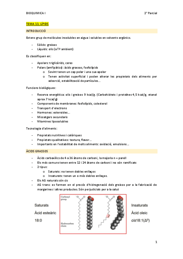 Miniatura del documento Bioquimica-I-2n-parcial-temes-11-20.pdf
