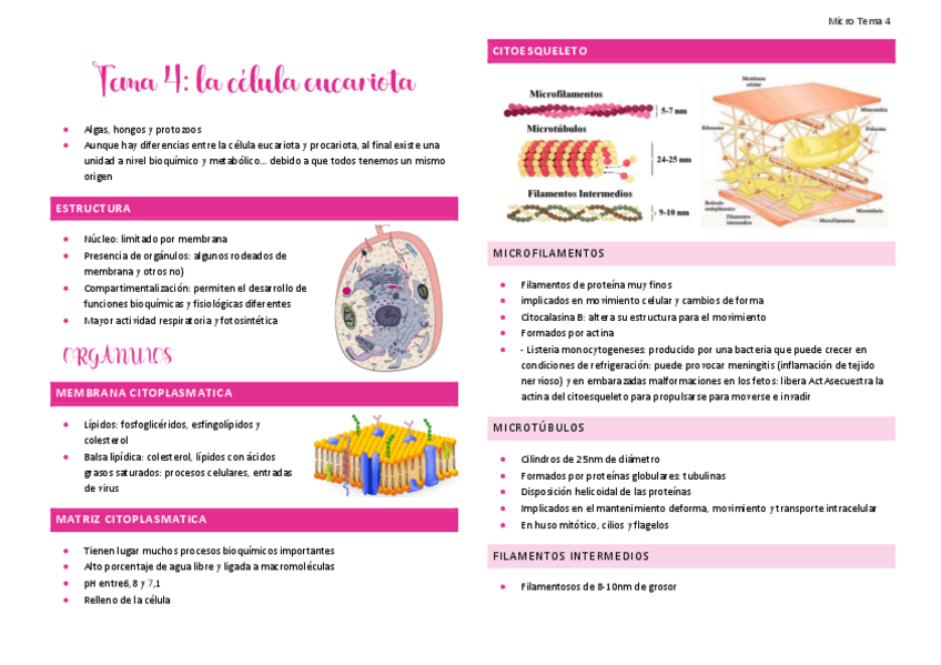 Miniatura del documento Tema-4.pdf