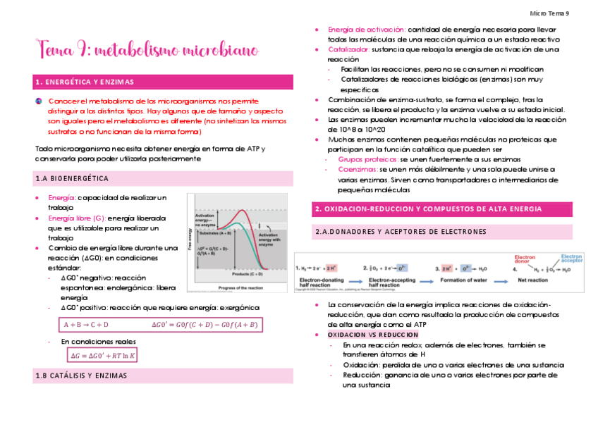 Miniatura del documento Tema-9.pdf