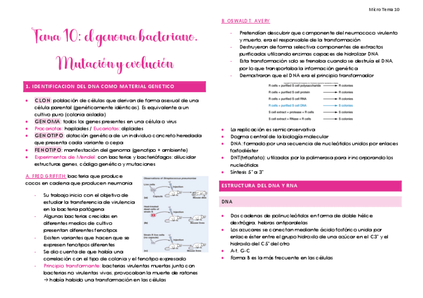 Miniatura del documento Tema-10.pdf
