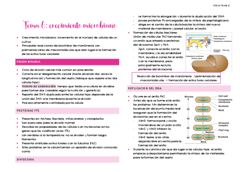 Miniatura del documento Tema-6.pdf
