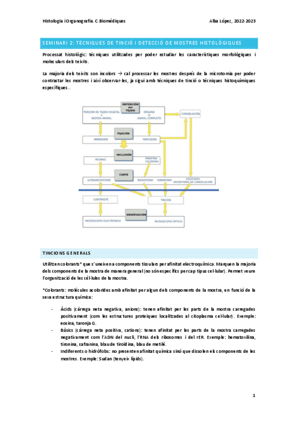 Miniatura del documento Seminari-2-tecniques-de-tincio-i-deteccio-de-mostres-histologiques.pdf