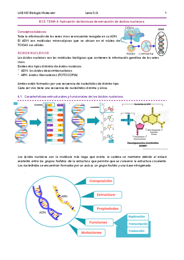 Miniatura del documento 04-BMC-Tema-4-Apuntes-Lena.pdf