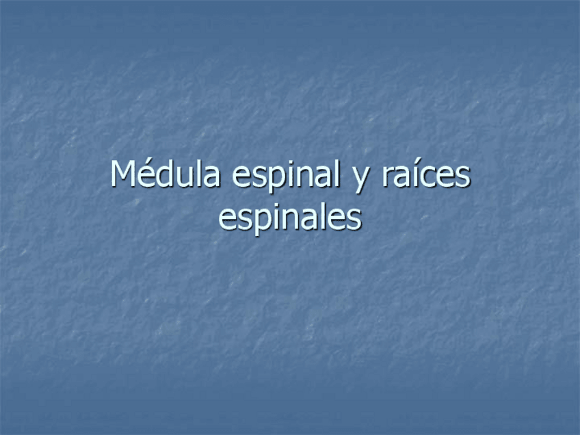 Miniatura del documento LA-MEDULA-ESPINAL.pdf