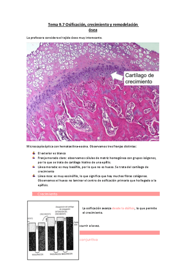Miniatura del documento Tema-9.7-Osificacion-crecimiento-y-remodelacion-osea.pdf