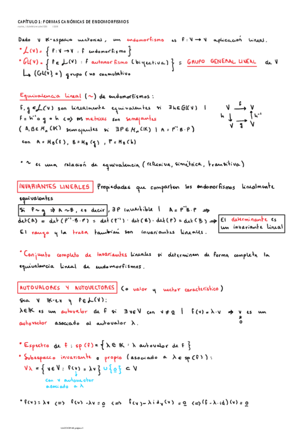 Miniatura del documento FORMAS CANÓNICAS DE ENDOMORFISMOS.pdf