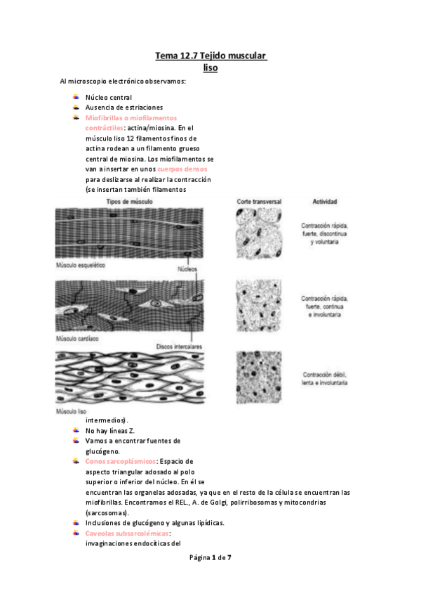 Miniatura del documento Tema-12.7-Tejido-muscular-liso.pdf
