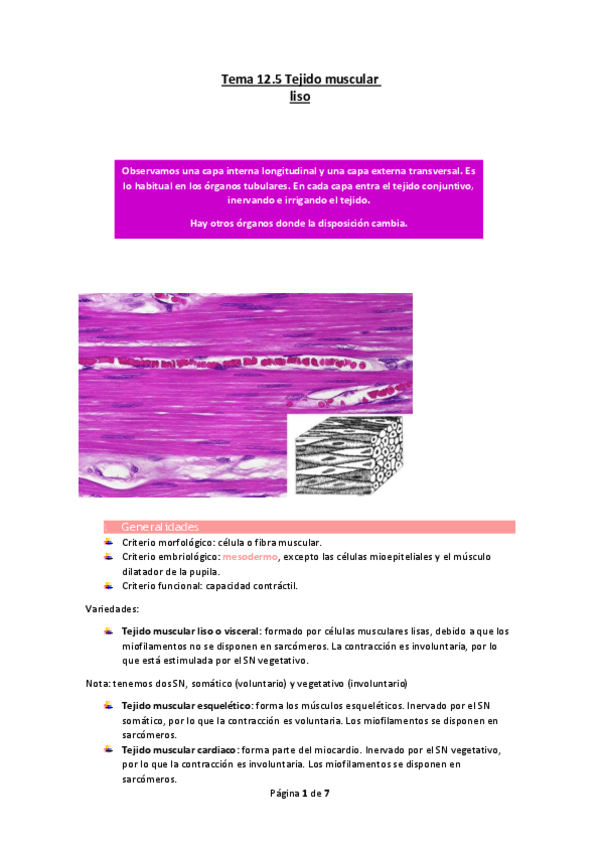 Miniatura del documento Tema-12.5-Tejido-muscular-liso.pdf