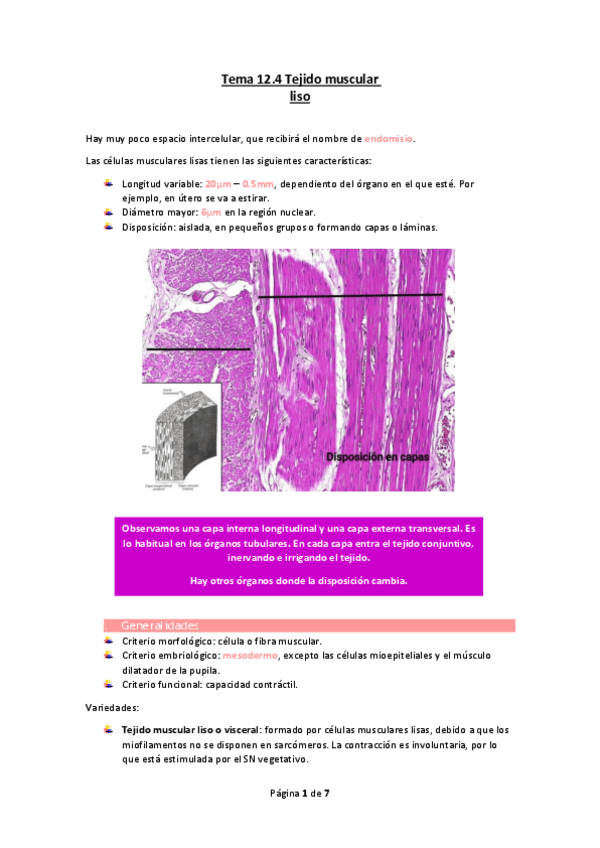 Miniatura del documento Tema-12.4-Tejido-muscular-liso.pdf