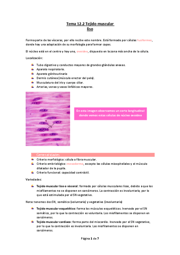Miniatura del documento Tema-12.2-Tejido-muscular-liso.pdf