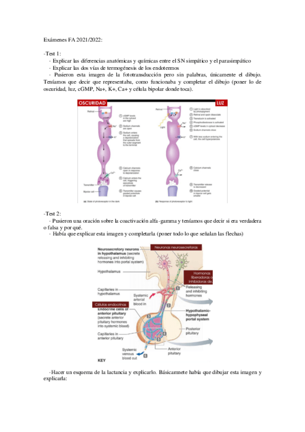 Miniatura del documento Examenes-FA-2021-22.pdf