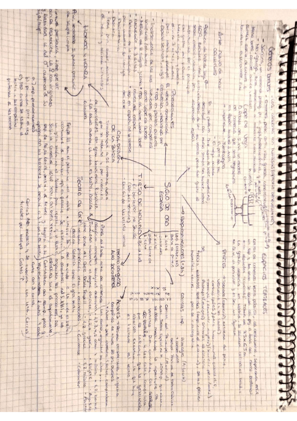 Miniatura del documento siglo-de-oro.pdf