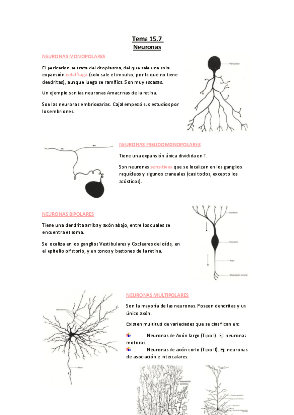 Miniatura del documento Tema-15.11-Neuronas.pdf