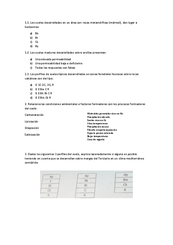 Miniatura del documento Examen-geologia.pdf