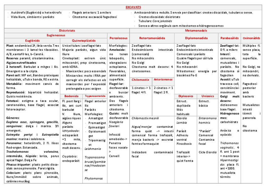 Miniatura del documento Taula-excavats.pdf