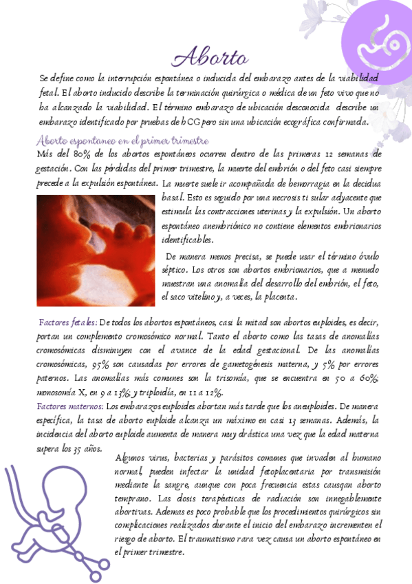 Miniatura del documento Aborto-embarazo-ectopico-enfermedad-gestacional-del-trofoblasto.pdf