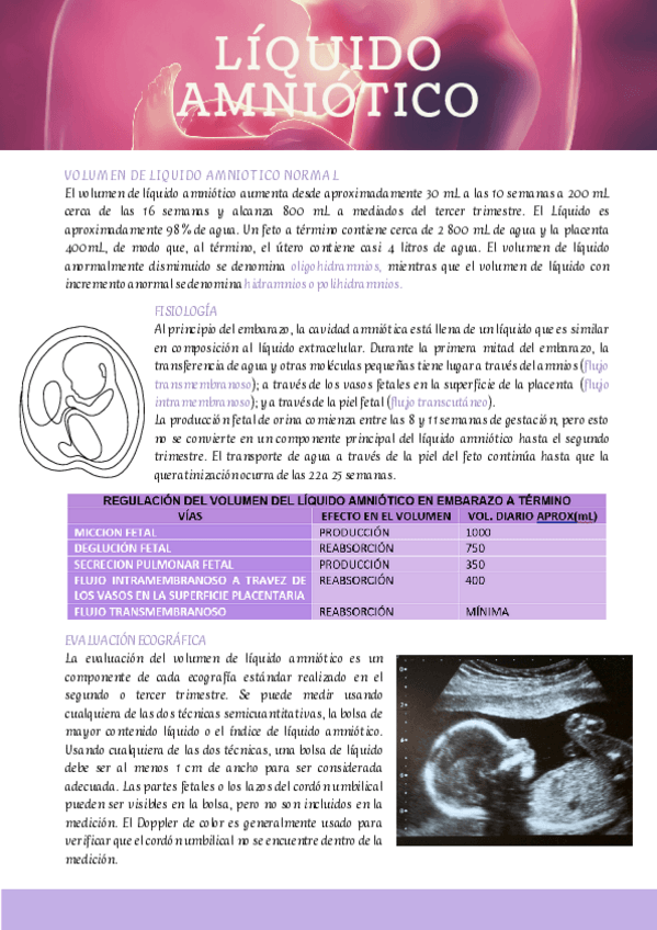 Miniatura del documento LIQUIDO-AMNIOTICO.pdf