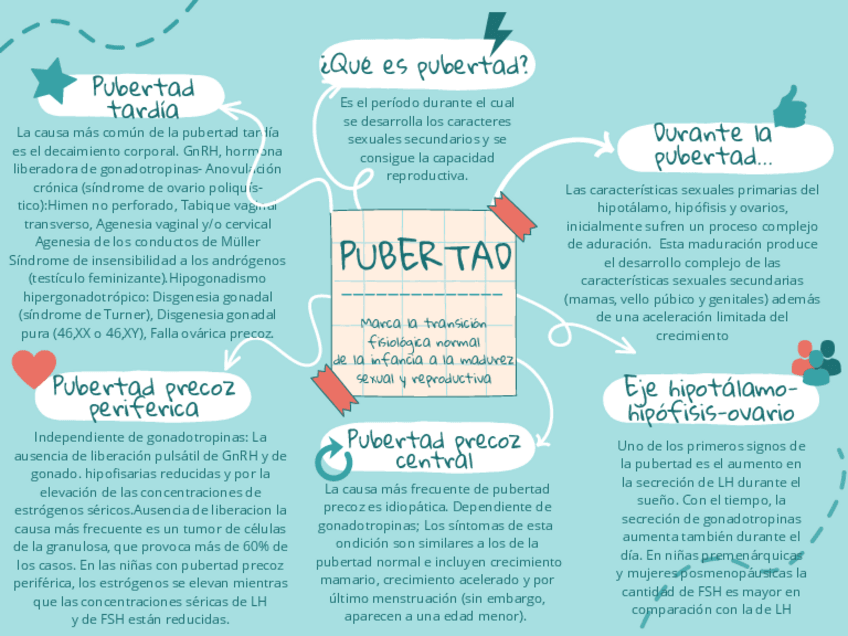 Miniatura del documento ESQUEMAS-DE-PUBERTAD.pdf