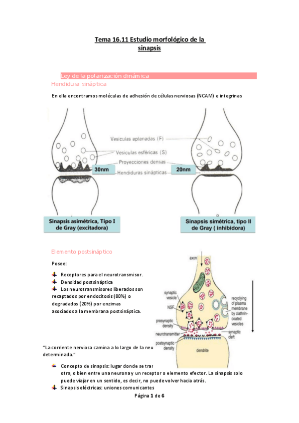 Miniatura del documento Tema-16.pdf