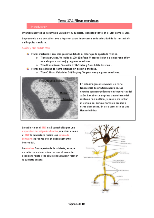 Miniatura del documento Tema-17.pdf