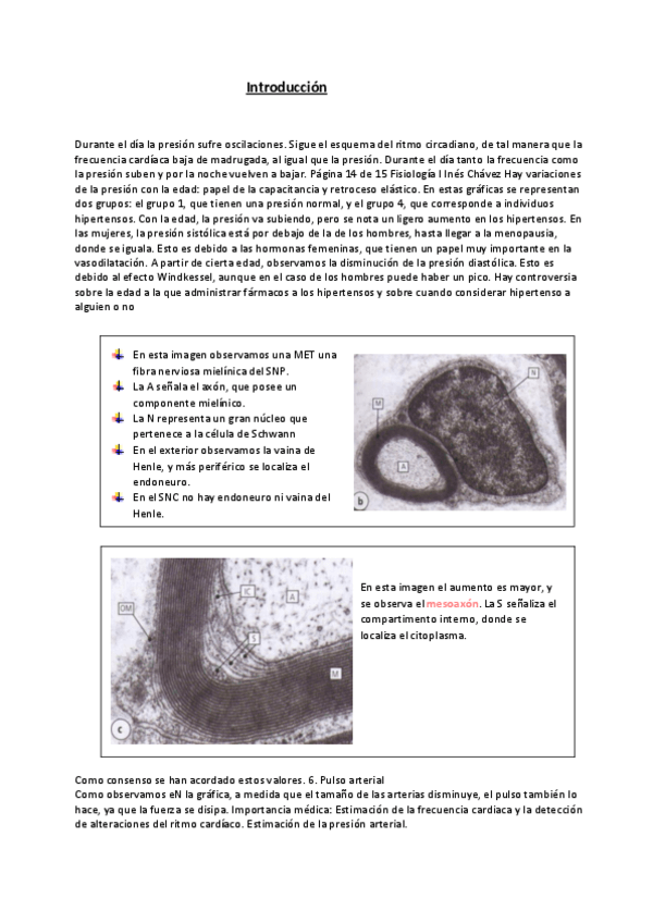 Miniatura del documento Introduccion-al-tema-17.pdf