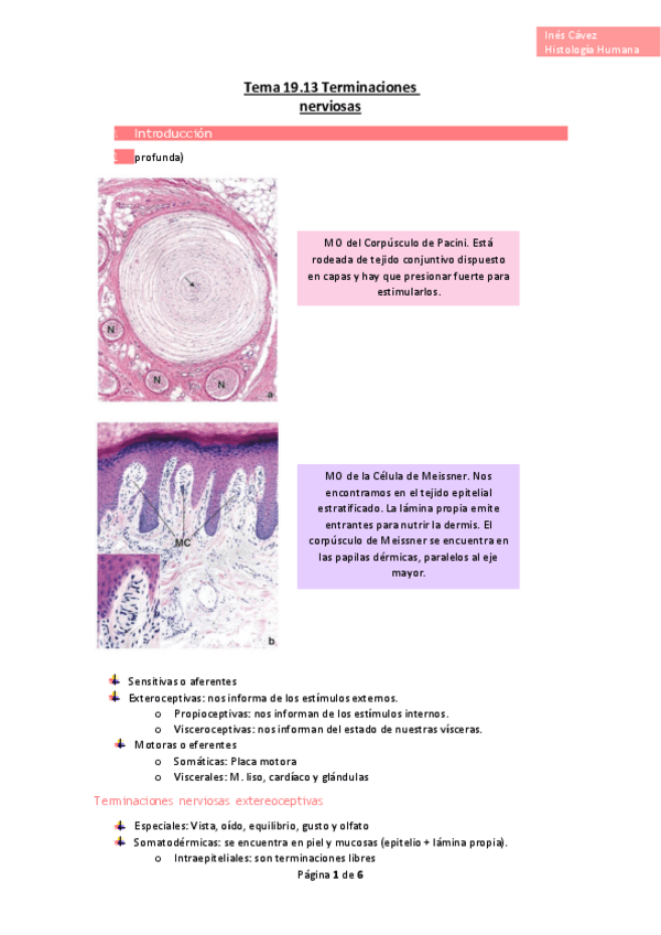 Miniatura del documento Tema-19.pdf