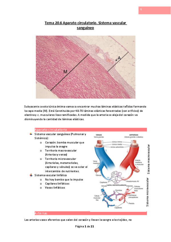 Miniatura del documento Tema-20.pdf