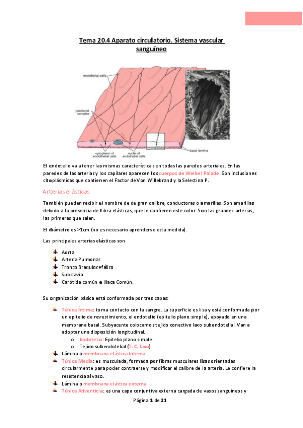 Miniatura del documento Tema-20.pdf
