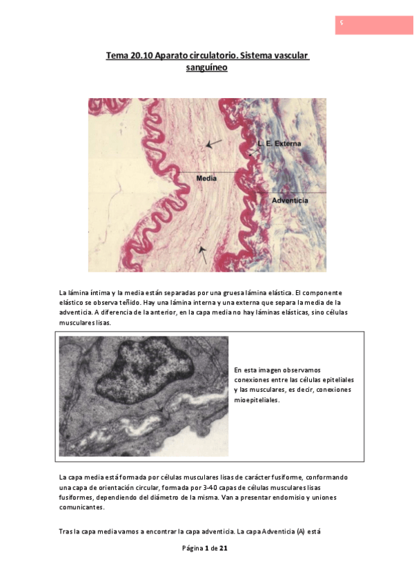 Miniatura del documento Tema-20.pdf