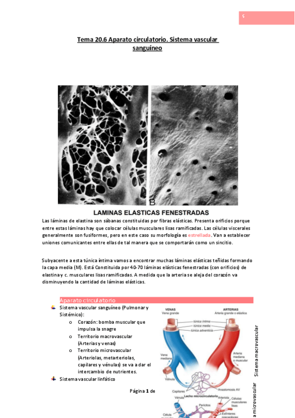 Miniatura del documento Tema-20.pdf